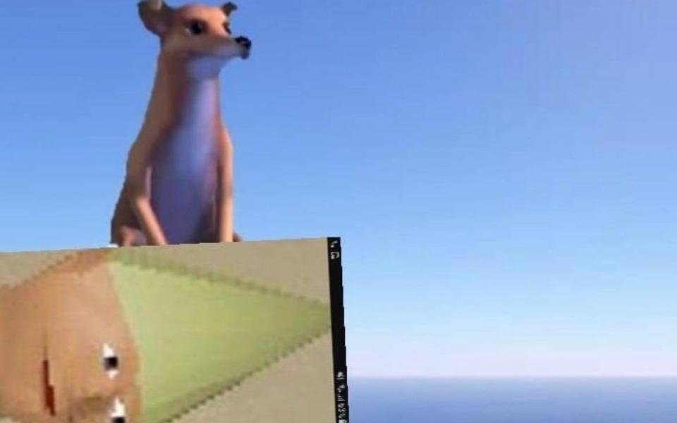 
        Zbiórka leczenie autyzmu jamnika - zdjęcie główne
    