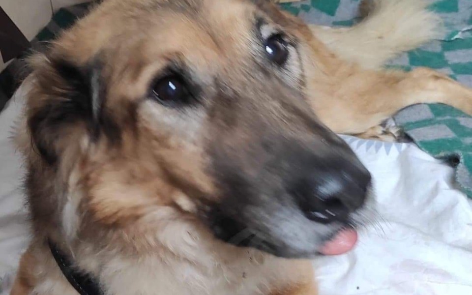 
        Zbiórka Dać godną starość po latach w - zdjęcie główne
    