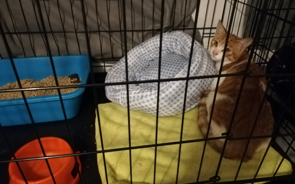 
        Zbiórka Badanie Sky - zdjęcie główne
    