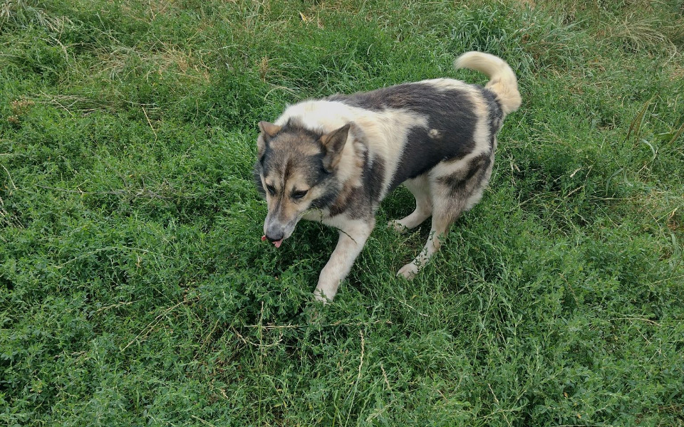 
        Zbiórka Kolejny miesiąc Atosa w hotelu - zdjęcie główne
    