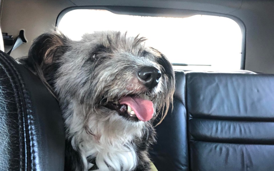 
        Zbiórka Pilne złożenie nosa oraz szczęki - zdjęcie główne
    