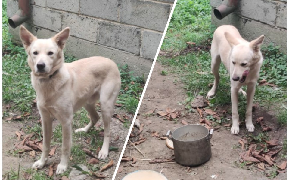 
        Zbiórka Biały Książe. - zdjęcie główne
    