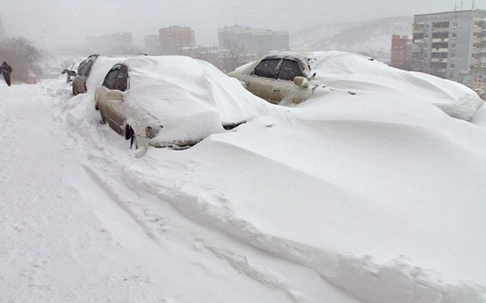 
        Zbiórka Pomóż nam przetrwać zimę - zdjęcie główne
    