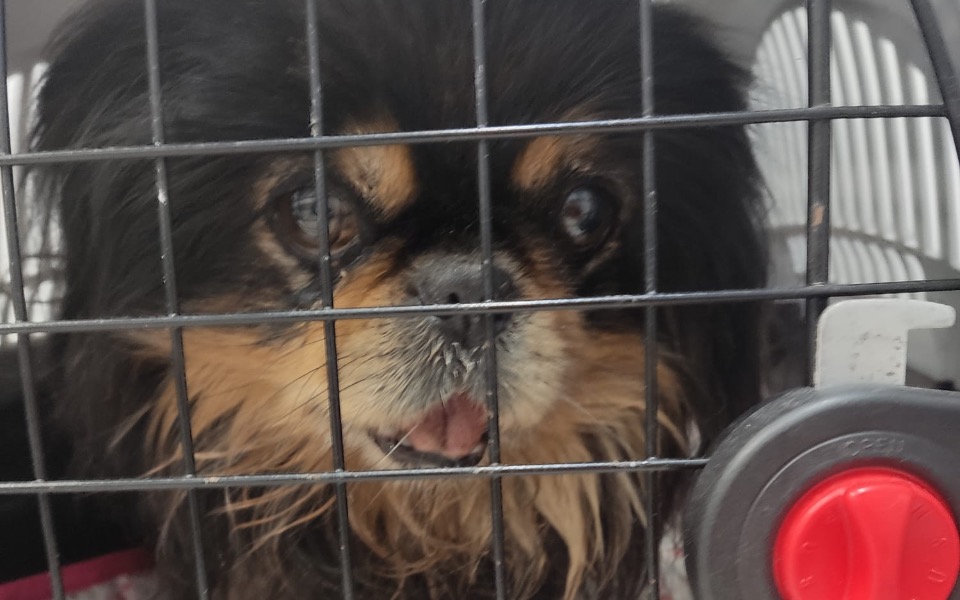 
        Zbiórka Złamana szczęka - zdjęcie główne
    