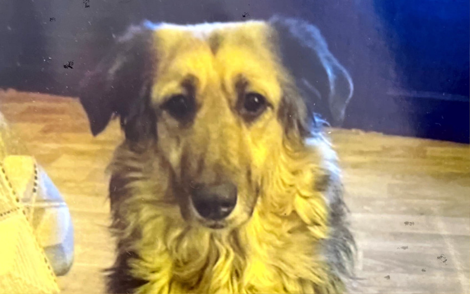 
        Zbiórka Zbiórka na leczenie MILI - zdjęcie główne
    