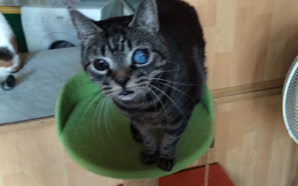 Zbiórka Walczymy by przetrwać - zdjęcie główne