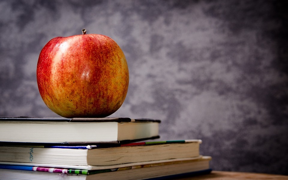 
        Zbiórka Na wydanie książki edukacyjnej - zdjęcie główne
    
