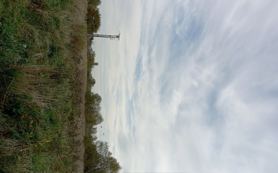 
        Zbiórka NA Operację wymiany biodra - zdjęcie główne
    