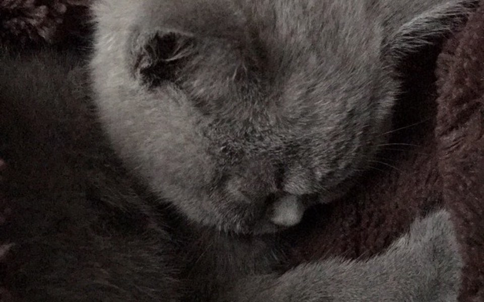 
        Zbiórka Zbbb - zdjęcie główne
    