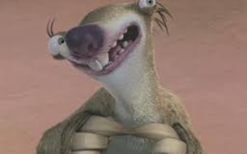 
        Zbiórka na rzycie siwego - zdjęcie główne
    