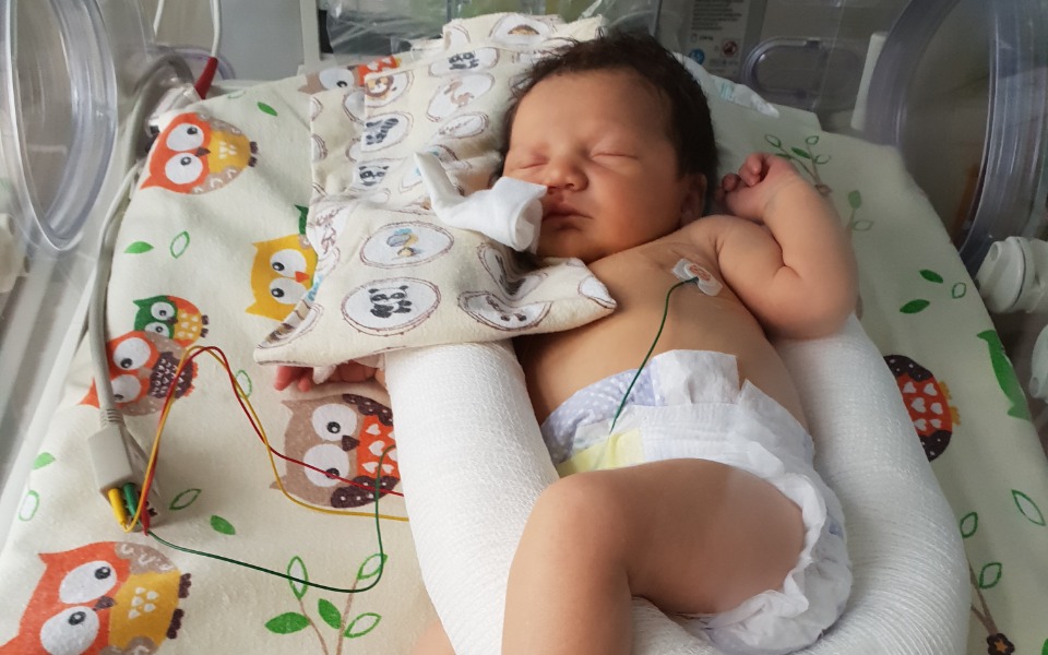 Zbiórka Leczenie rehabilitacja serduszka - zdjęcie główne