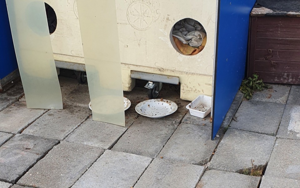 
        Zbiórka Szybki zakup karmy 10 kg - zdjęcie główne
    