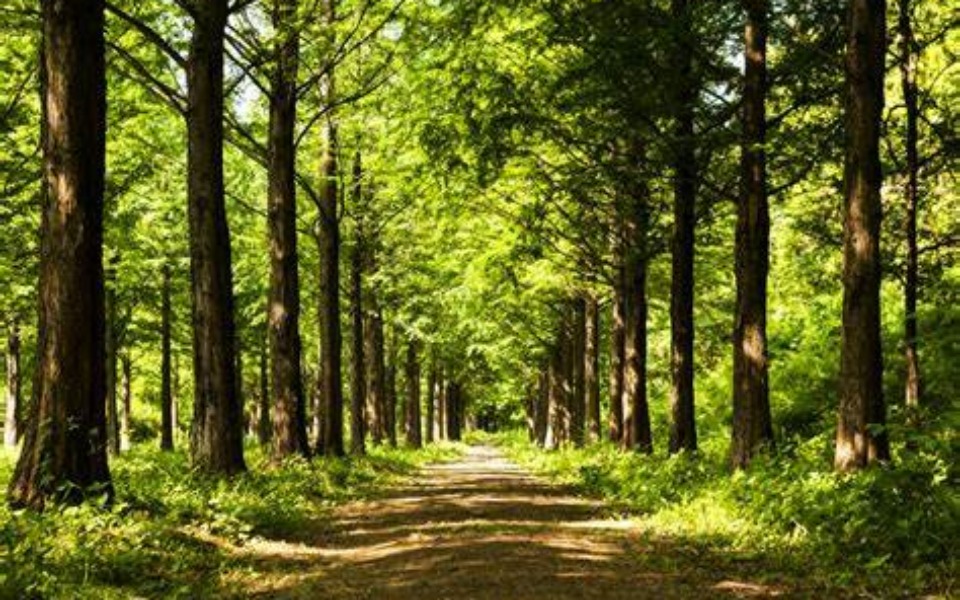 
        Zbiórka Inwestycja wypoczynkowa - zdjęcie główne
    