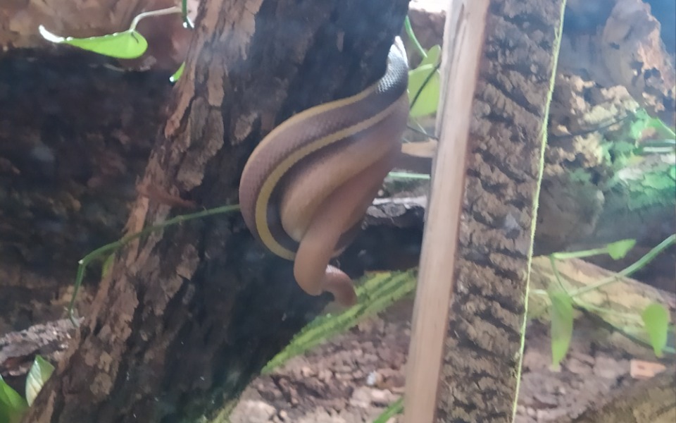 
        Zbiórka Na racunki - zdjęcie główne
    