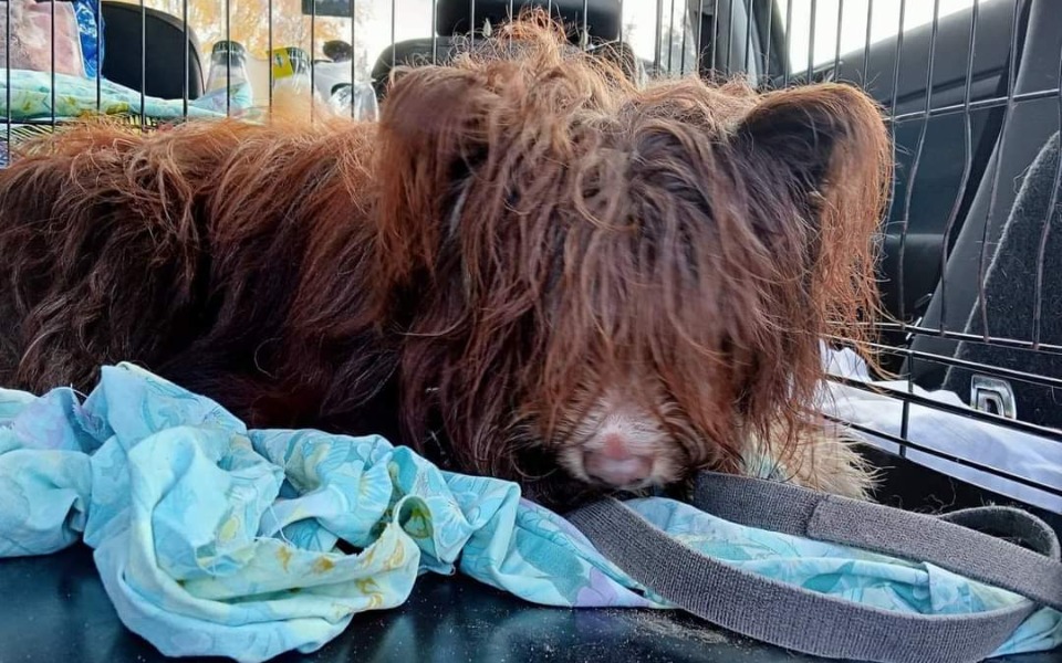 
        Zbiórka Zmarnowali mi 1.5 roku życia - zdjęcie główne
    