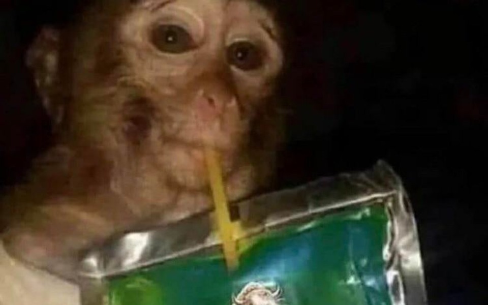 
        Zbiórka Coś se kupie - zdjęcie główne
    