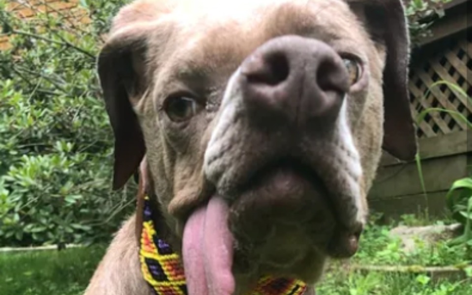 
        Zbiórka Na pomoc dla leona - zdjęcie główne
    