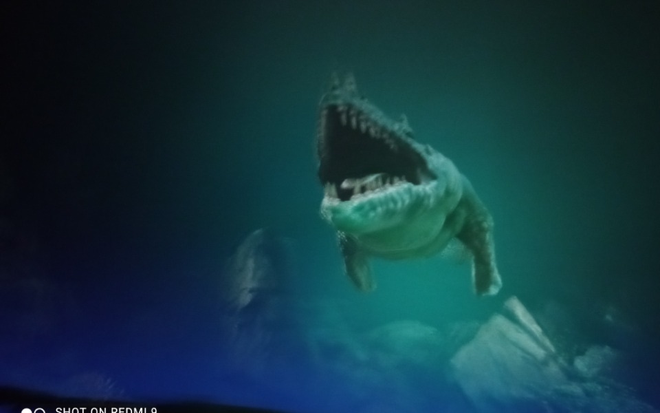 
        Zbiórka Złapanie złodzieja biesiekierz - zdjęcie główne
    