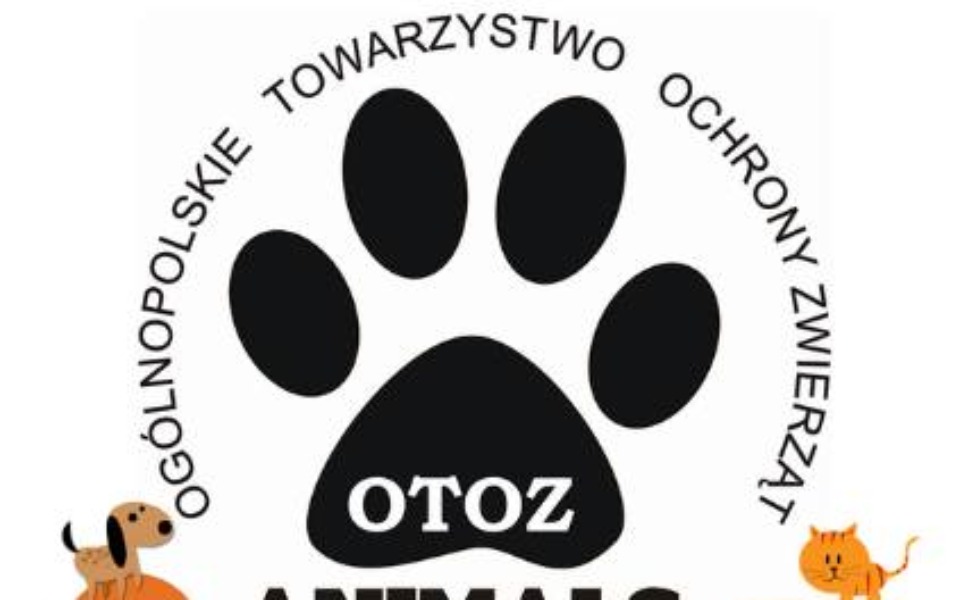 
        Zbiórka Zbiórka na karme dla zwierząt - zdjęcie główne
    