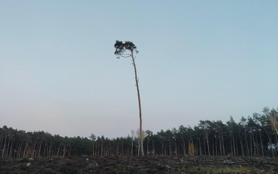 
        Zbiórka Spłata zadłużenia nie z mojej wi - zdjęcie główne
    