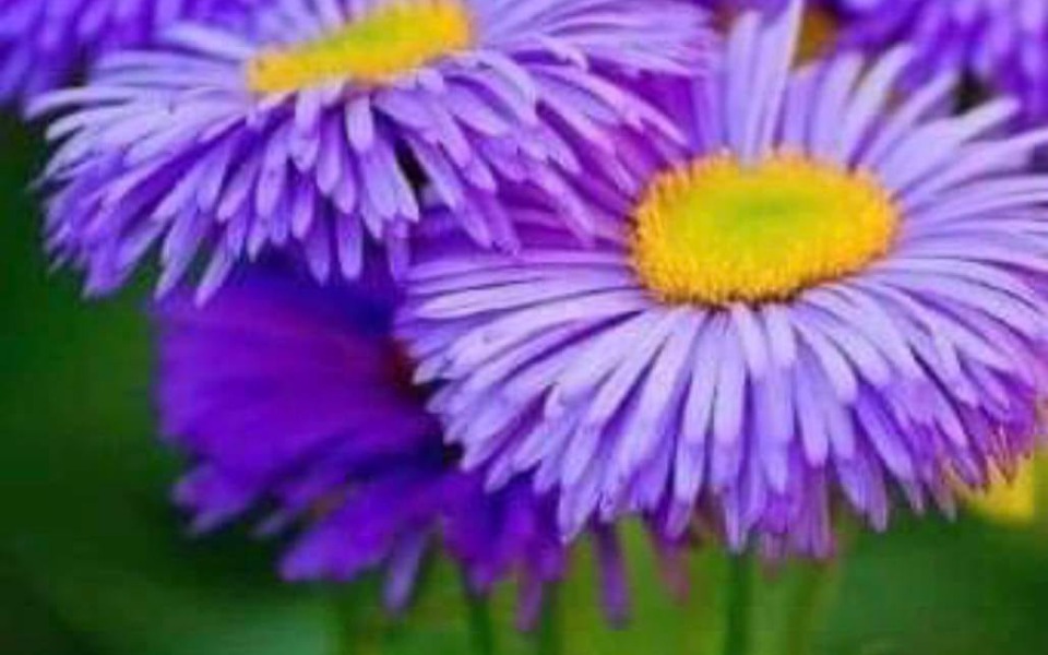 
        Zbiórka 12467889y43 - zdjęcie główne
    