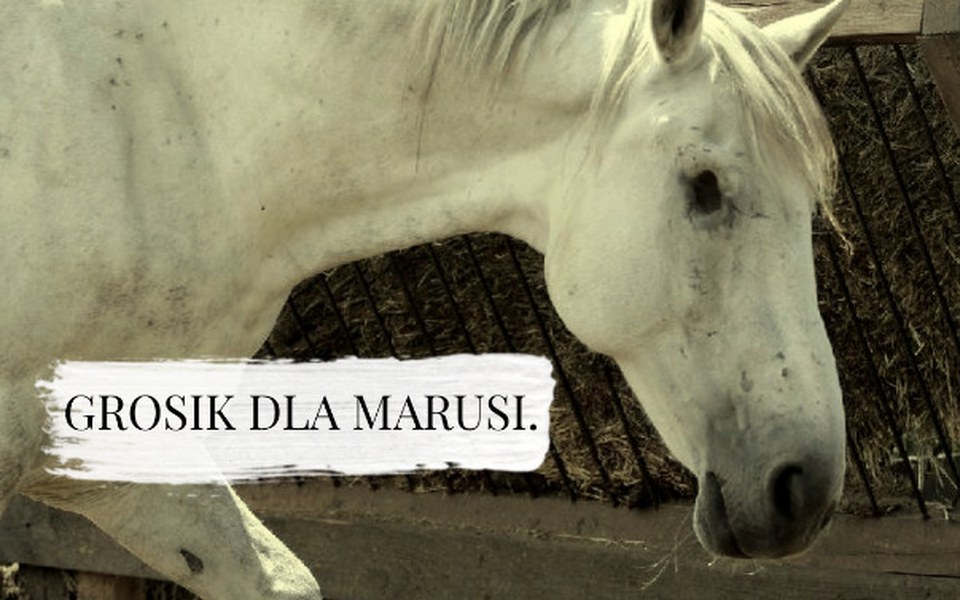 
        Zbiórka Grosik dla Marusi. - zdjęcie główne
    