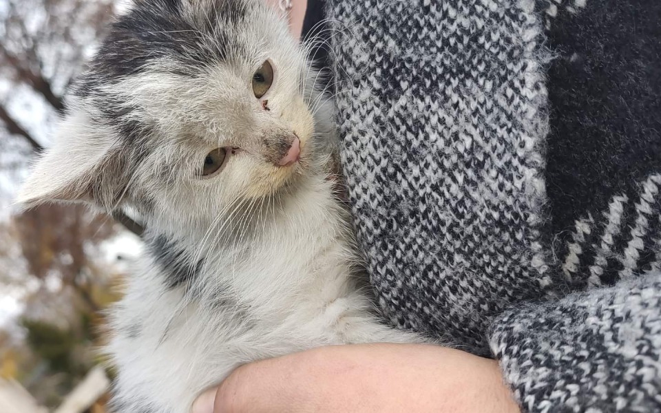 
        Zbiórka Na leczenie Poli i Rózi. - zdjęcie główne
    