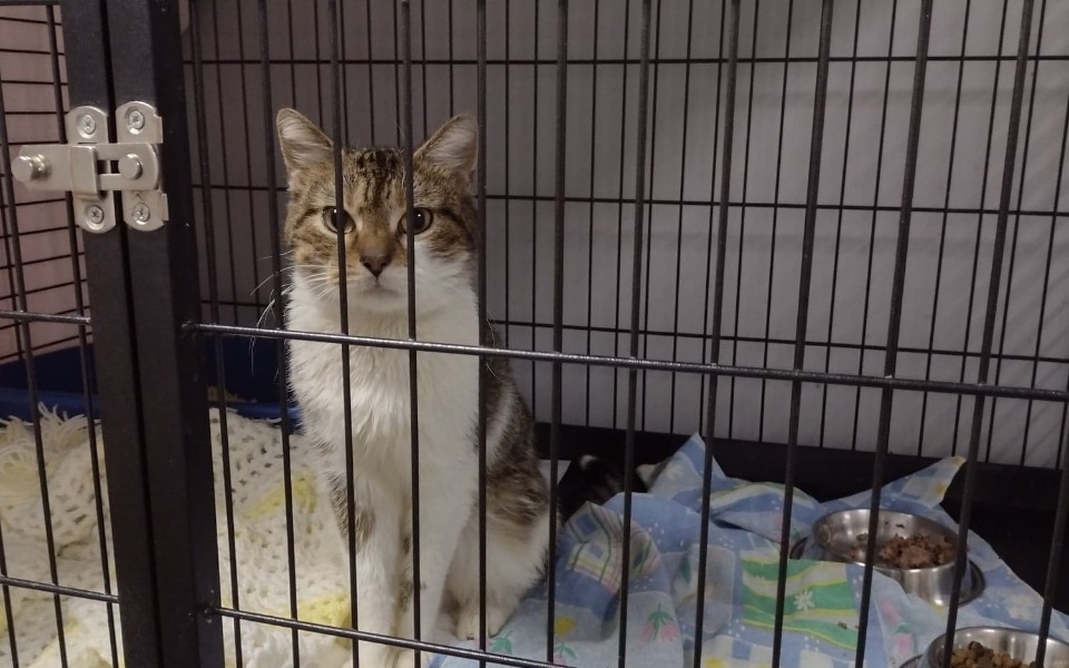 
        Zbiórka Nowotwór złośliwy w uchu - zdjęcie główne
    