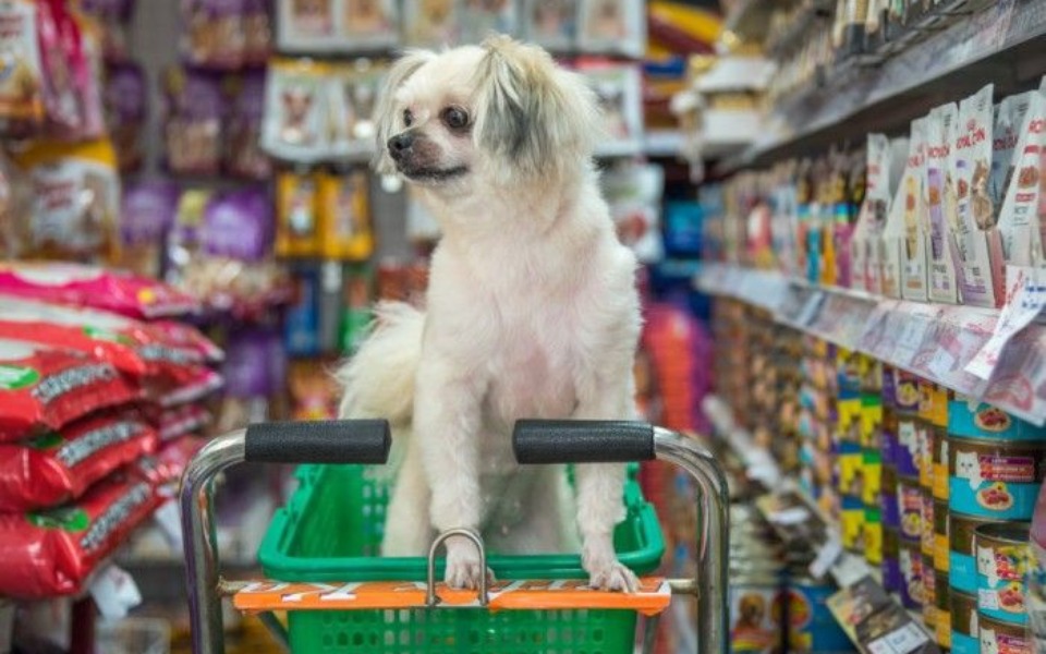 
        Zbiórka Na własny zoologiczny - zdjęcie główne
    