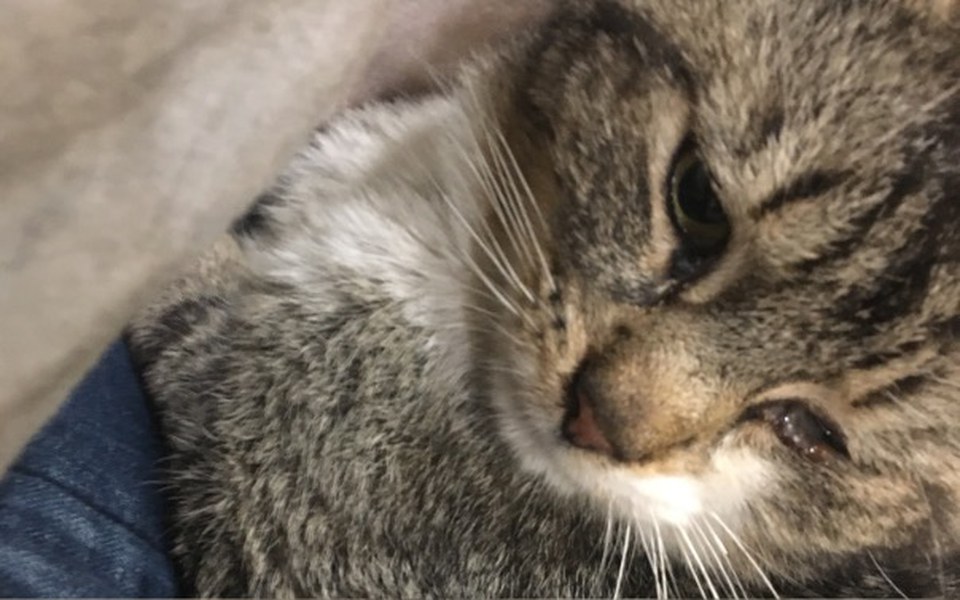 
        Zbiórka Walduś z dziura w brzuchu - zdjęcie główne
    