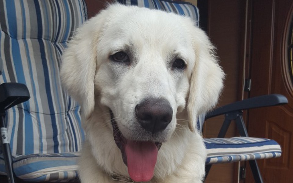 
        Zbiórka Dla Azaji - zdjęcie główne
    