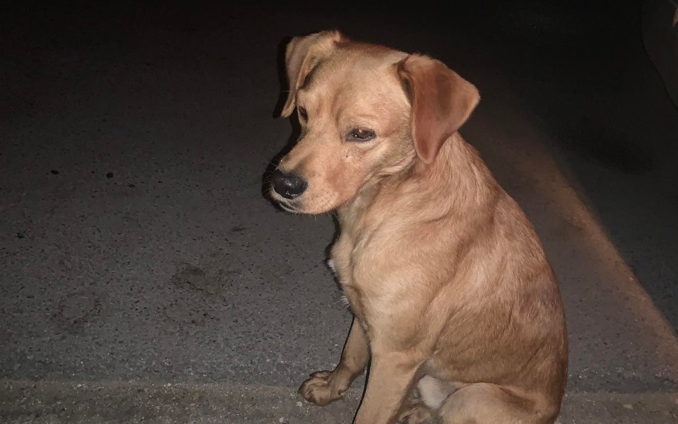 
        Zbiórka Sam na drodze wśród pól - zdjęcie główne
    