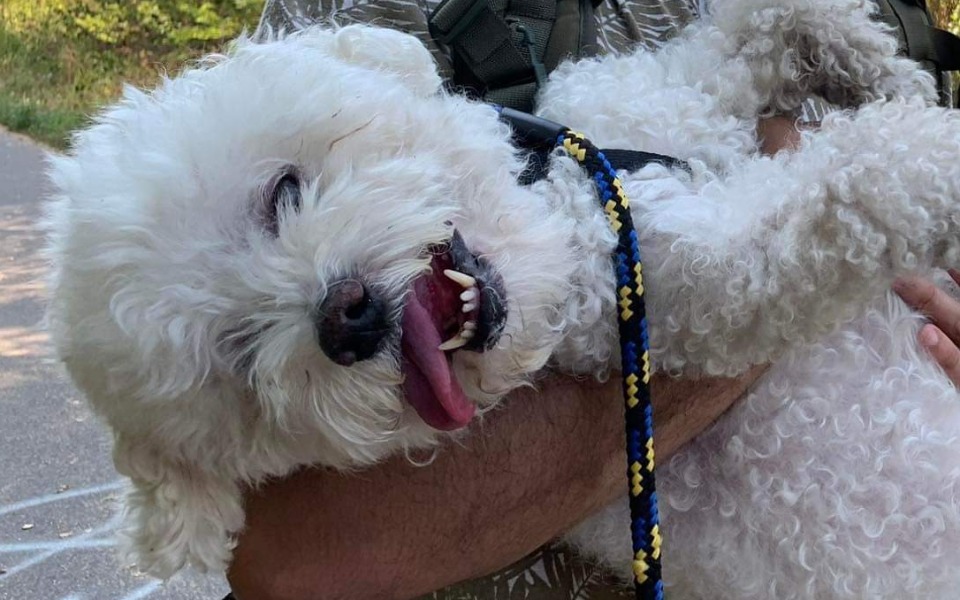 
        Zbiórka Walka o życie Luisa - zdjęcie główne
    