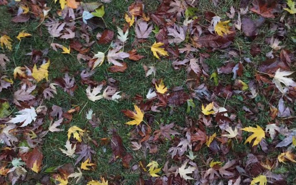 
        Zbiórka Zatrzymując życie w kadrze - zdjęcie główne
    