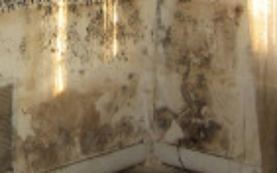 
        Zbiórka Remont mieszkania samotnej matki - zdjęcie główne
    