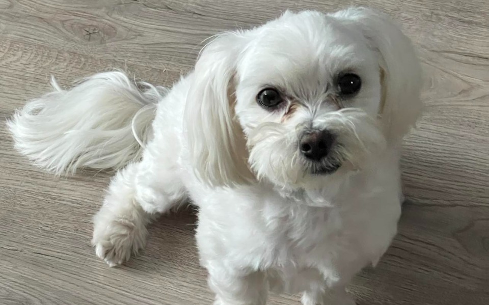 
        Zbiórka Zbieram na życie, dorzuć się - zdjęcie główne
    