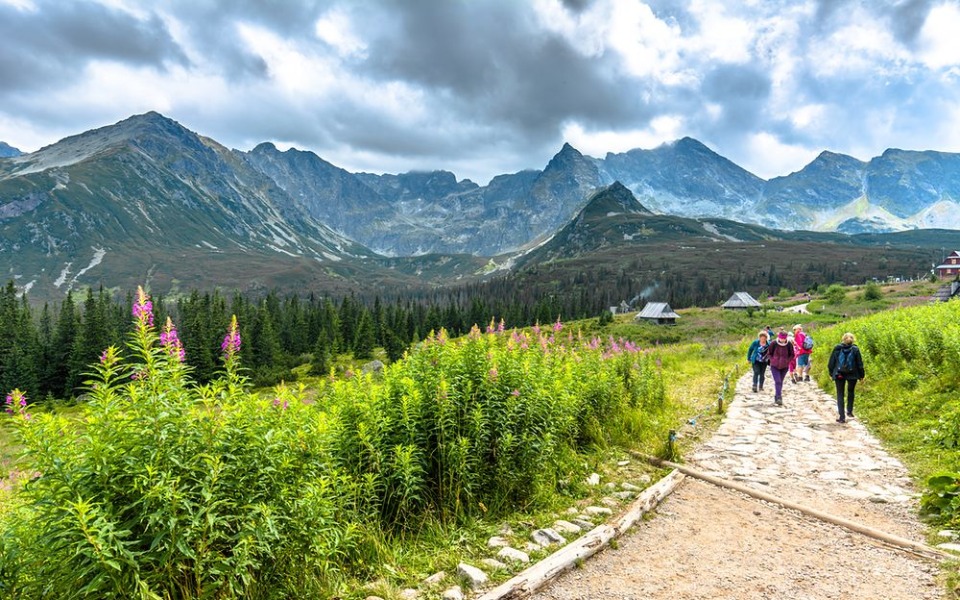 
        Zbiórka Wakacje - lipiec 2023 - zdjęcie główne
    