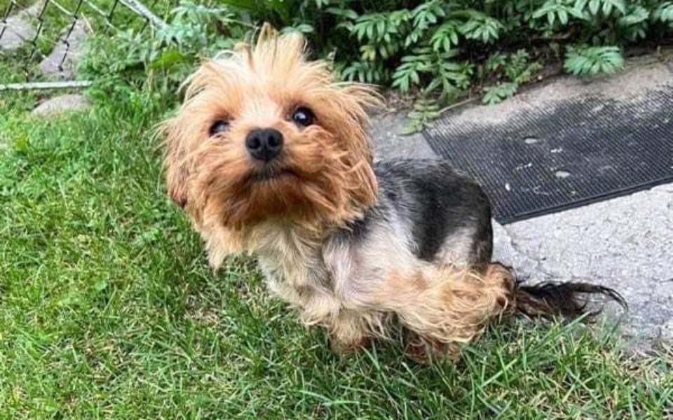 
        Zbiórka Potraktowana jak śmieć.. - zdjęcie główne
    