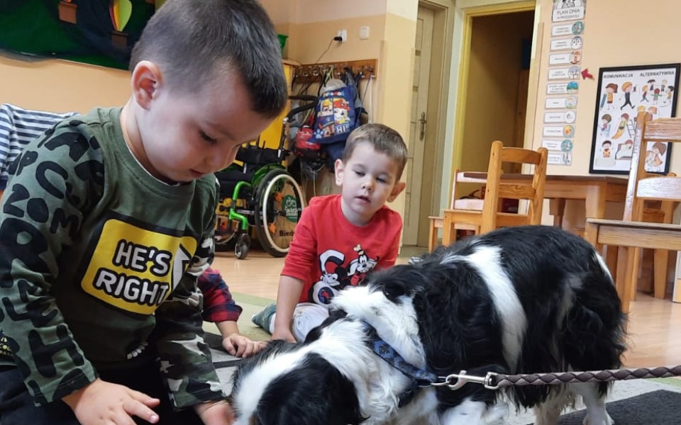 
        Zbiórka Zajęcia z dogoterapii - zdjęcie główne
    