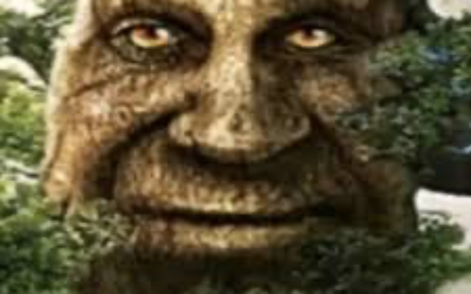 
        Zbiórka na jedzenie z zabki - zdjęcie główne
    