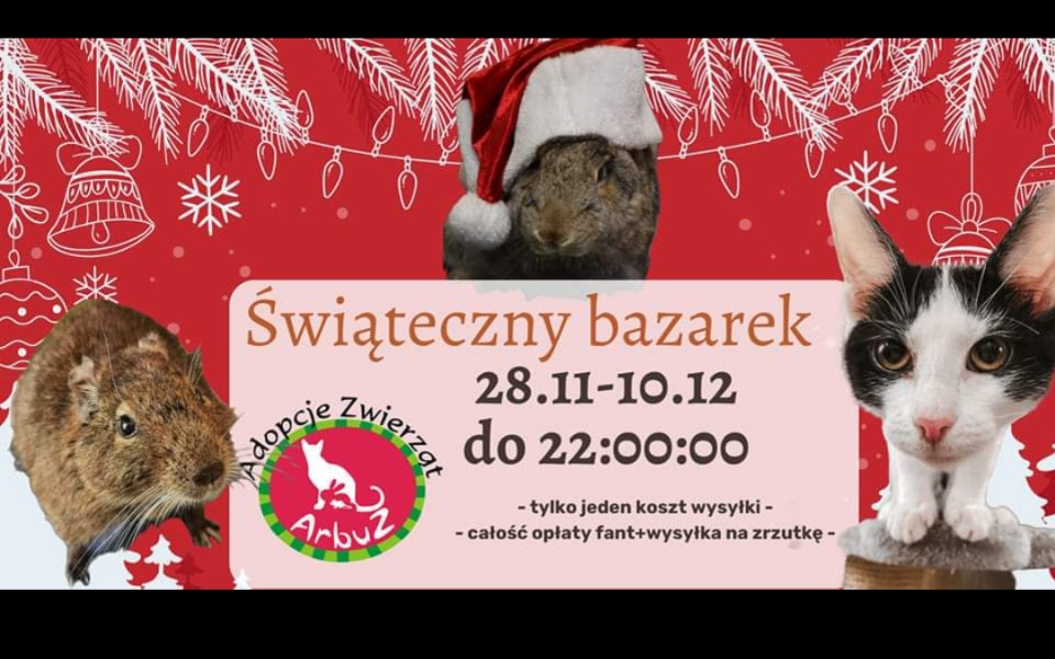 
        Zbiórka Świątecznie - bazarek ArbuZa - zdjęcie główne
    
