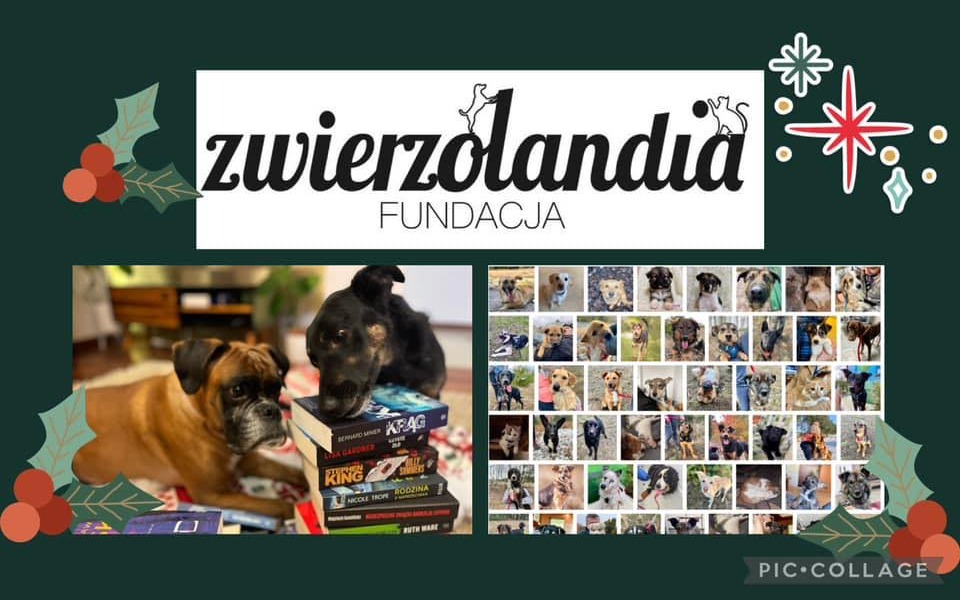 
        Zbiórka Oczytana Zwierzolandia - zdjęcie główne
    