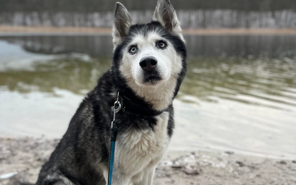 
        Zbiórka Lekarstwa i badania dla Jacka - zdjęcie główne
    