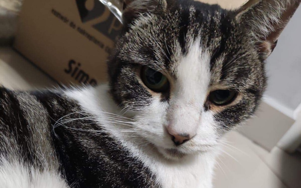 
        Zbiórka Ratujmy Bajkę - pilna operacja - zdjęcie główne
    