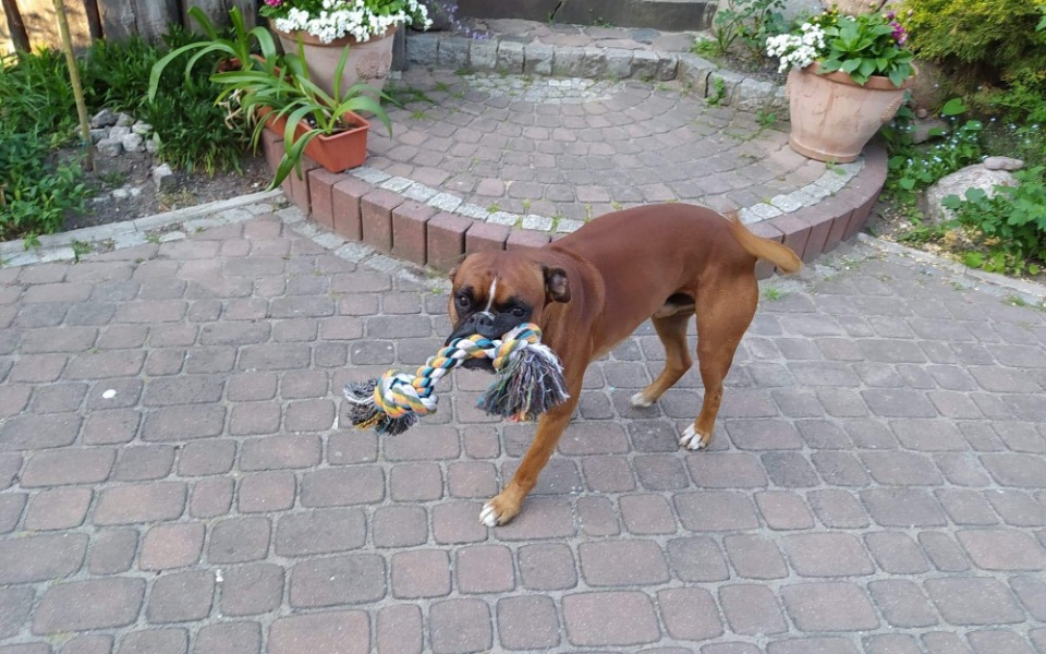 Zbiórka Zimowa pomoc. - zdjęcie główne