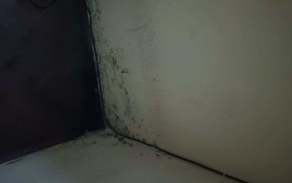 
        Zbiórka Zbieramy na lepsze Mieszkanie - zdjęcie główne
    