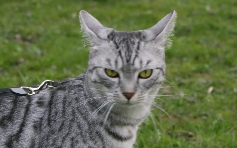 
        Zbiórka Na operację dla Gwiazdy - zdjęcie główne
    