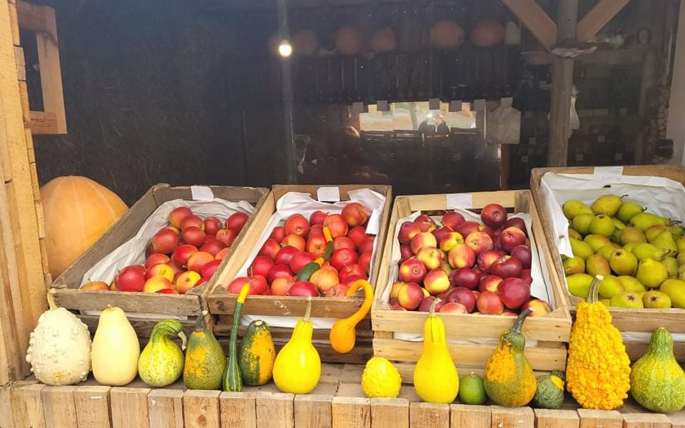 
        Zbiórka Warzywniak na nowo - zdjęcie główne
    