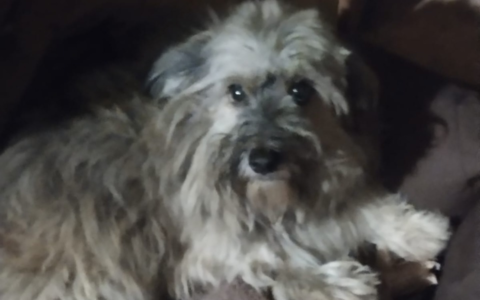 
        Zbiórka Pomóż mi stanąć na nogi,operacja - zdjęcie główne
    