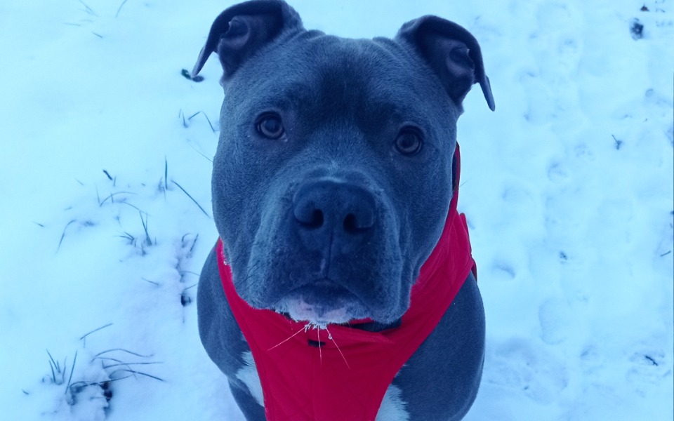 
        Zbiórka Operacja Baironka - zdjęcie główne
    